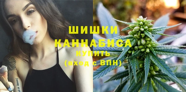 гидропоника Заводоуковск