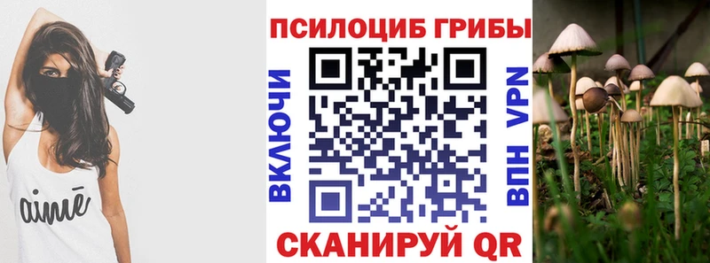 Галлюциногенные грибы ЛСД  Купить  Тырныауз 